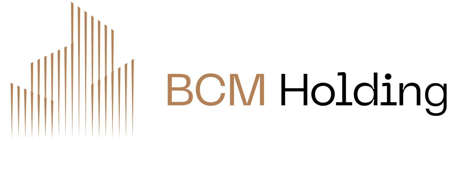 BCM Holding Logo